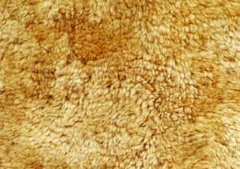Natural beige sheep fur background texture.