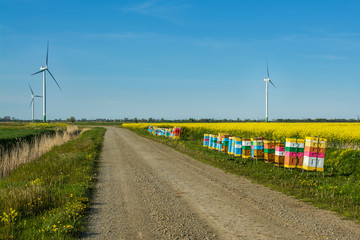 Fototapety na wymiar - Fototapeta24.pl