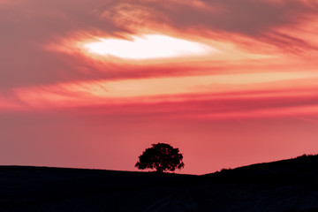 Fototapeta na wymiar Tree silhouette on the horizon over a hill and dramatic sky.