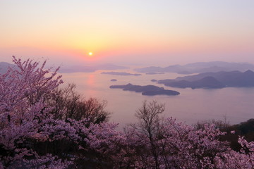 日本の春　瀬戸内海の日の出　桜満開の竜王山からの景色