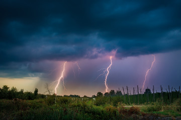 Naklejka na ściany i meble lightning in the field