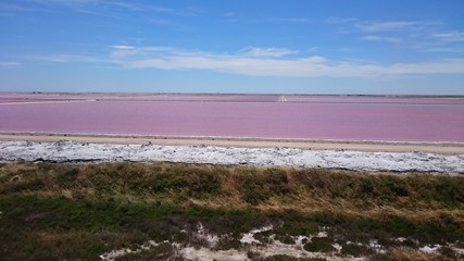 Salzbecken in der Camargue