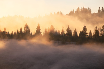 Beautiful foggy landscape in the sunrise mountains. Fantastic morning foggy autumn hills glowing by sunlight. - 349819004