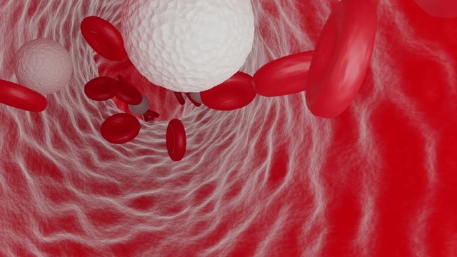 3D animation of red and white blood cells flowing through a vein.