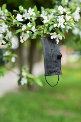 Medical black mask on flowering tree. End quarantine COVID-19 and pandemic coronavirus. Blooming apple tree in spring 2020. Safety on nature concept