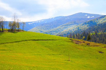 Fototapeta premium Panoramic view of mountain scenery in the Alps with fresh green meadows with grazing horses in color on a beautiful sunny day in spring, Berchtesgaden Land National Park, Bavaria, Germany