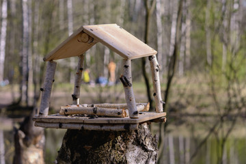 Special  birdfeeder is set on a high stump in the forest, close up