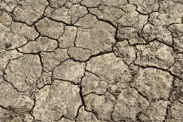 Dry land with cracks and dust. Soil texture close up.