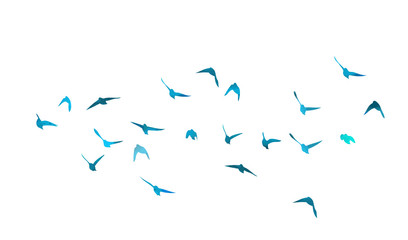 A flock of flying blue birds. Mixed media. Vector illustration