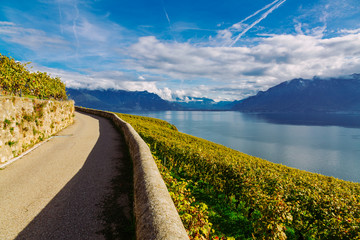 Lavaux Vineyard Terraces hiking trail with Lake Geneva landscape, Canton Vaud, Switzerland