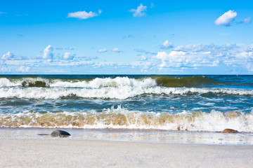 The Baltic Sea. Sunny day. Svetlogorsk. Russia