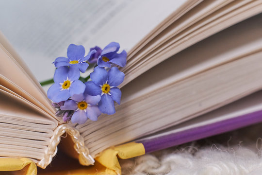 macro photo open books with a spring flowers nostalgic romantic mood concept