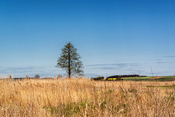 Narwiański Park Narodowy. Dolina Narwi. Polska Amazonia, Podlasie, Polska © podlaski49