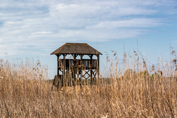 Narwiański Park Narodowy. Dolina Narwi. Polska Amazonia, Podlasie, Polska © podlaski49