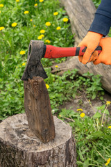 Fototapeta premium Hands hold an ax and chop wood on a stump