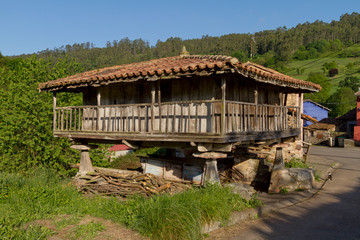 Fototapeta na wymiar Asturian granary, a wooden barn built on pillars that isolate it from the ground