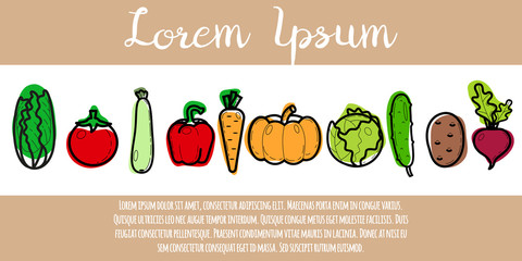 Vegetables banner, vector illustration.Garden, vegetable garden, organic vegetables food. Pumpkin, carrot, cabbage, cucumber, beetroot, tomato, potato, zucchini, Chinese cabbage, pepper.