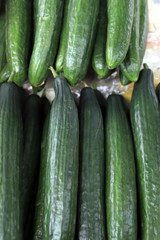 Cucumbers pattern. Fresh organic cucumber background.