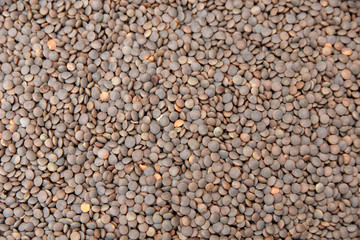 brown lentil