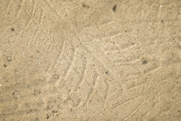 Fototapeta na wymiar Tire imprint on the sand surface. Riding car concept. Tire tracks on the ground 