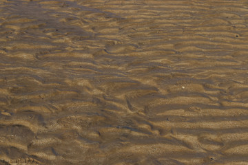 Shimmering Sand Ripples