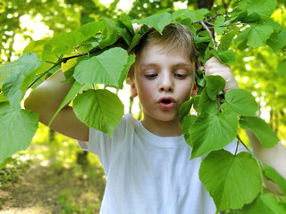 The naughty blond boy has his lips pulled out and looks down. A child plays in the forest. Linden...