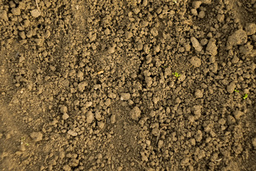 Soil texture. Nature ground. Pattern for design 