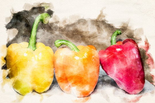 three bellpeppers in different colors in the style of an aquarelle