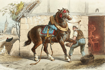 The draft horse. Antique illustration. 1856. © Emilio Ereza