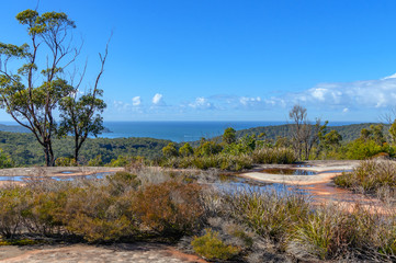 Australian Bush Landscape with Coastal Horizon