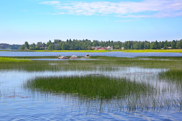 Beautiful landscape with reeds in the water & villageson the river banks of the Kymi river, close to Kotka, Finland.