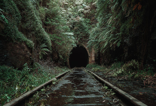 Fototapeta Old, abandoned railway tunnel in the middle of tropical forest