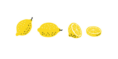 Hand drawn lemon, a slice of lemon. Illustration of a manual graphic. Set. vector illustration.