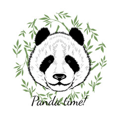 Vector image of a cheerful panda. Image is painted in green bamboo.