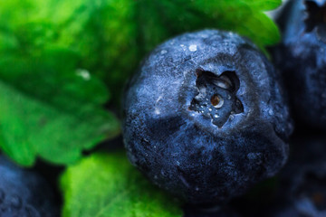macrophotography of blueberries with mint leaves with water drops on the surface. blackberries with green leaves with carved edges