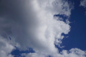 Fototapeta na wymiar Clouds on blue sky for background concept