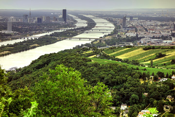 Danube river green valley near Vienna Austria.