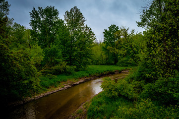 Fototapeta na wymiar Beautiful country summer setting with green trees along the flowing Cass river in Cass City Michigan