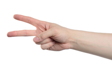 Male hand counting from one to five isolated on white background