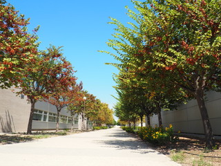 Naklejka premium OLYMPUS DIGITAL CAMERA