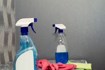 container with a sprayer for washing windows