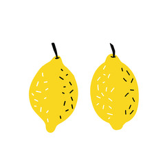 Hand drawn lemon, a slice of lemon. Illustration of a manual graphic. Set. vector illustration.