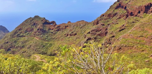 Exotic coastline panorama