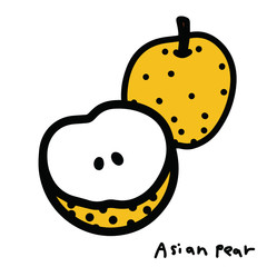 手書きの梨のイラスト