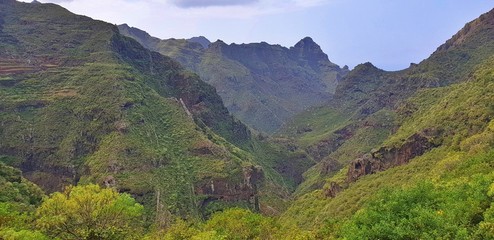 Exotic mountainous wilderness