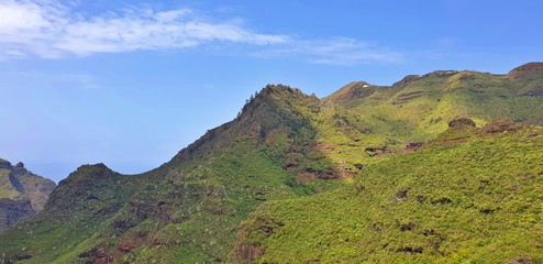 Green exotic mountains