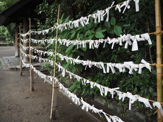 雨上がりの熱田神宮のおみくじ（愛知県名古屋市）