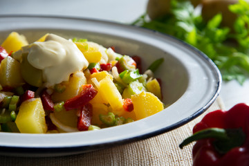 Vegan potatoes salad with vegetables