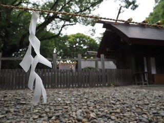 紙垂と神社