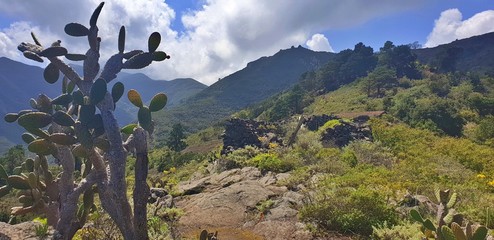 Cloudy mountains with cactus